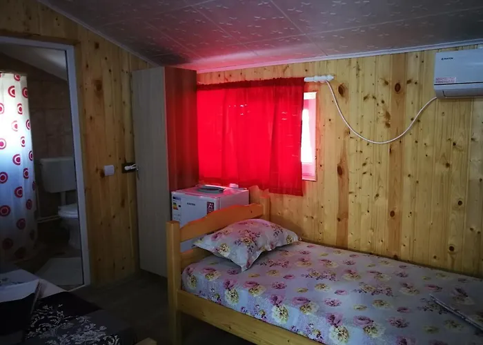 招待所 Baciu 图兹拉