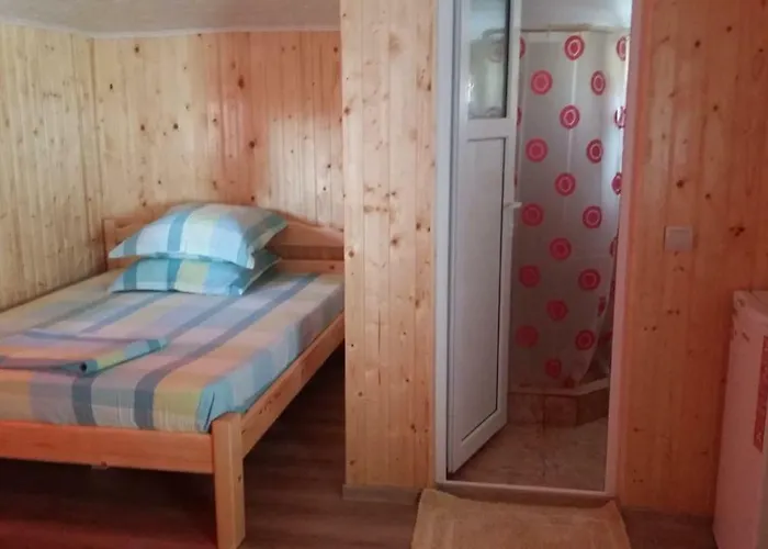 招待所 Baciu 图兹拉