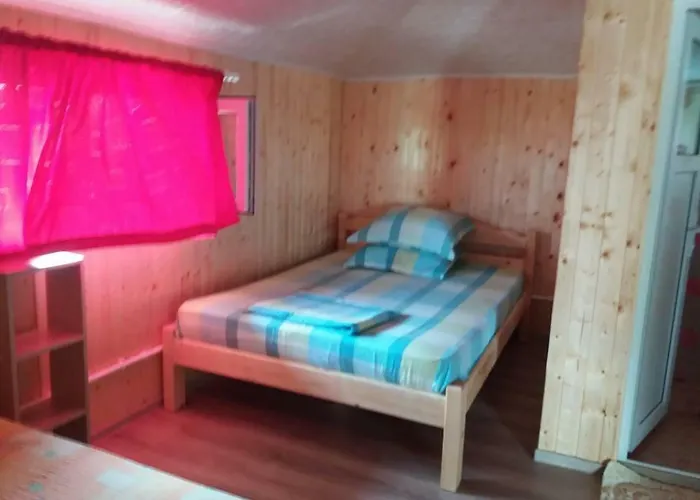 Baciu 招待所 图兹拉