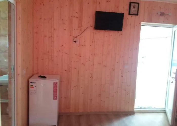 招待所 Baciu 图兹拉