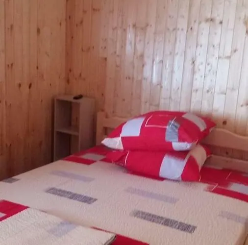 Baciu 招待所 图兹拉