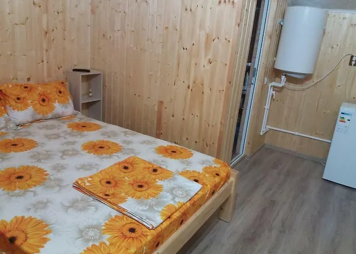 招待所 Baciu 图兹拉