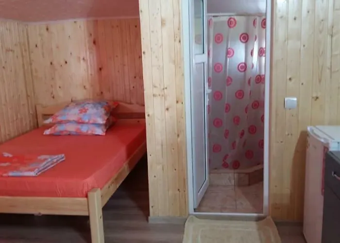 招待所 Baciu 图兹拉