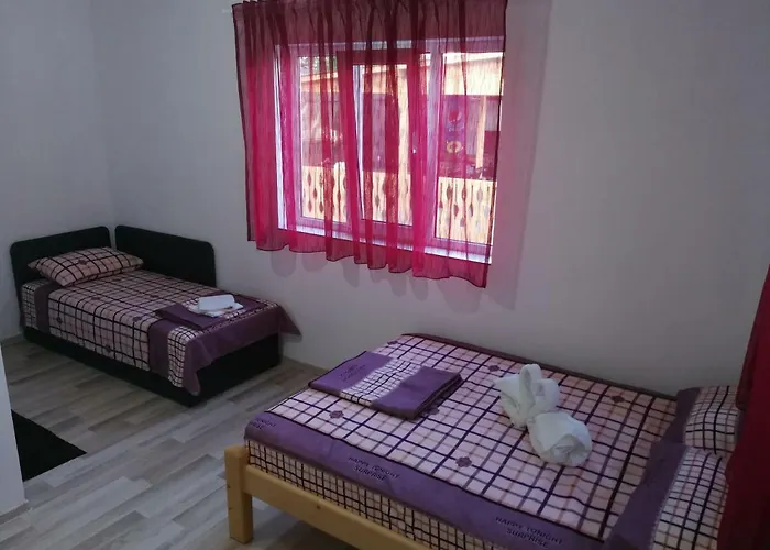 Baciu 招待所 图兹拉