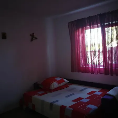 Vila Baciu Guest house *