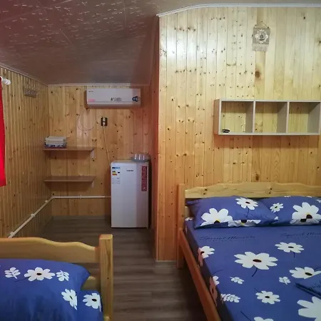 Vila Baciu Guest house *