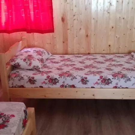 Guest house Vila Baciu *