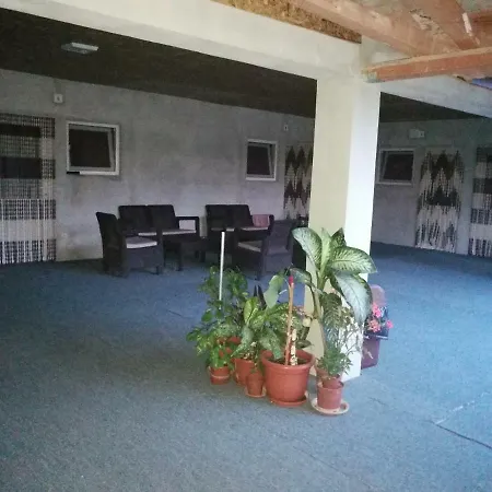 Vila Baciu Guest house *