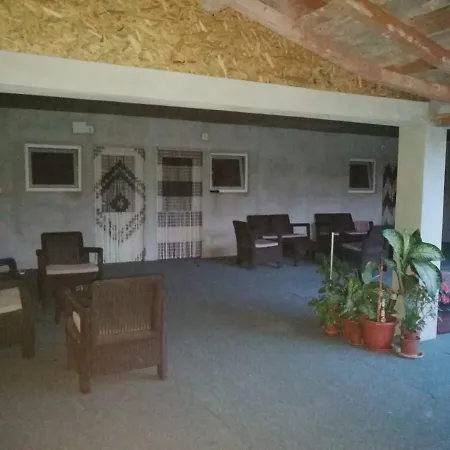 Vila Baciu Guest house *