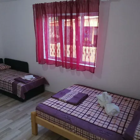 Vila Baciu Guest house Tuzla