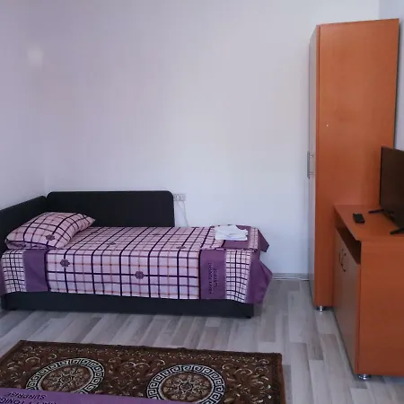 Vila Baciu