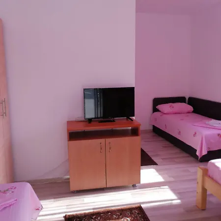 Vila Baciu Guest house *