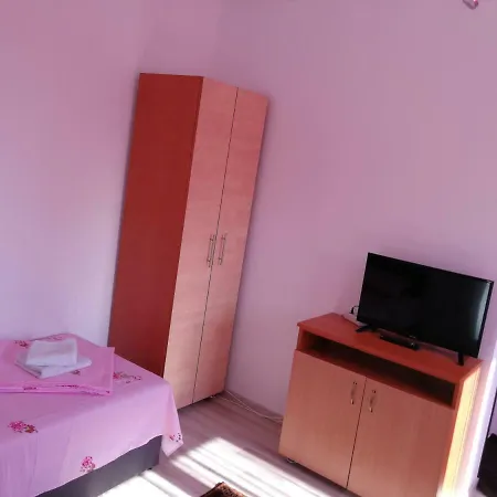 Vila Baciu Guest house *